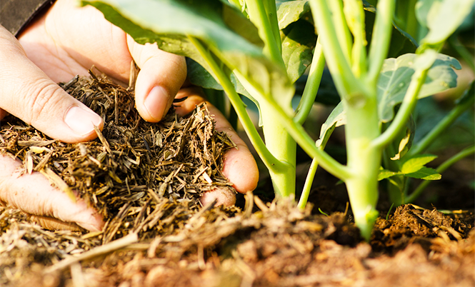 Gitaji Pesticide Industries