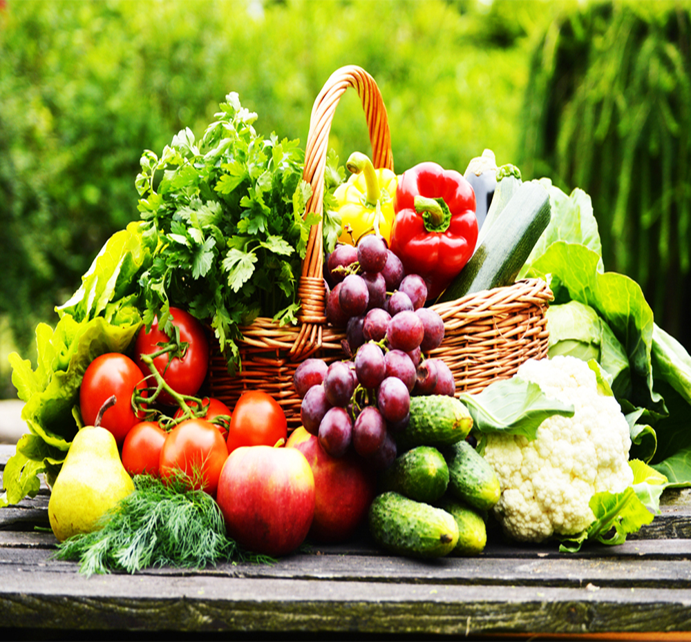 Gitaji Pesticides Industries - About Us