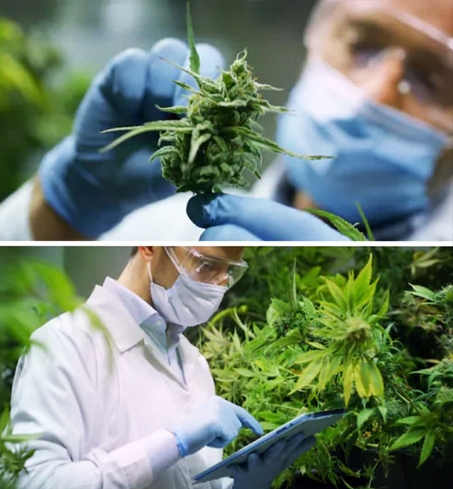 Gitaji Pesticides Industries Nashik - Quality